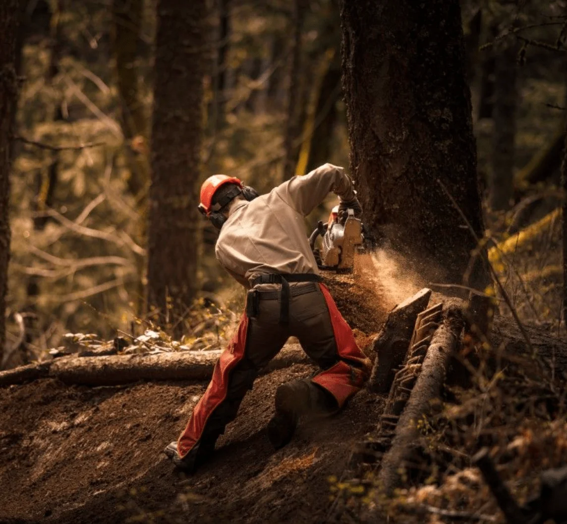 Cutting Down Tree