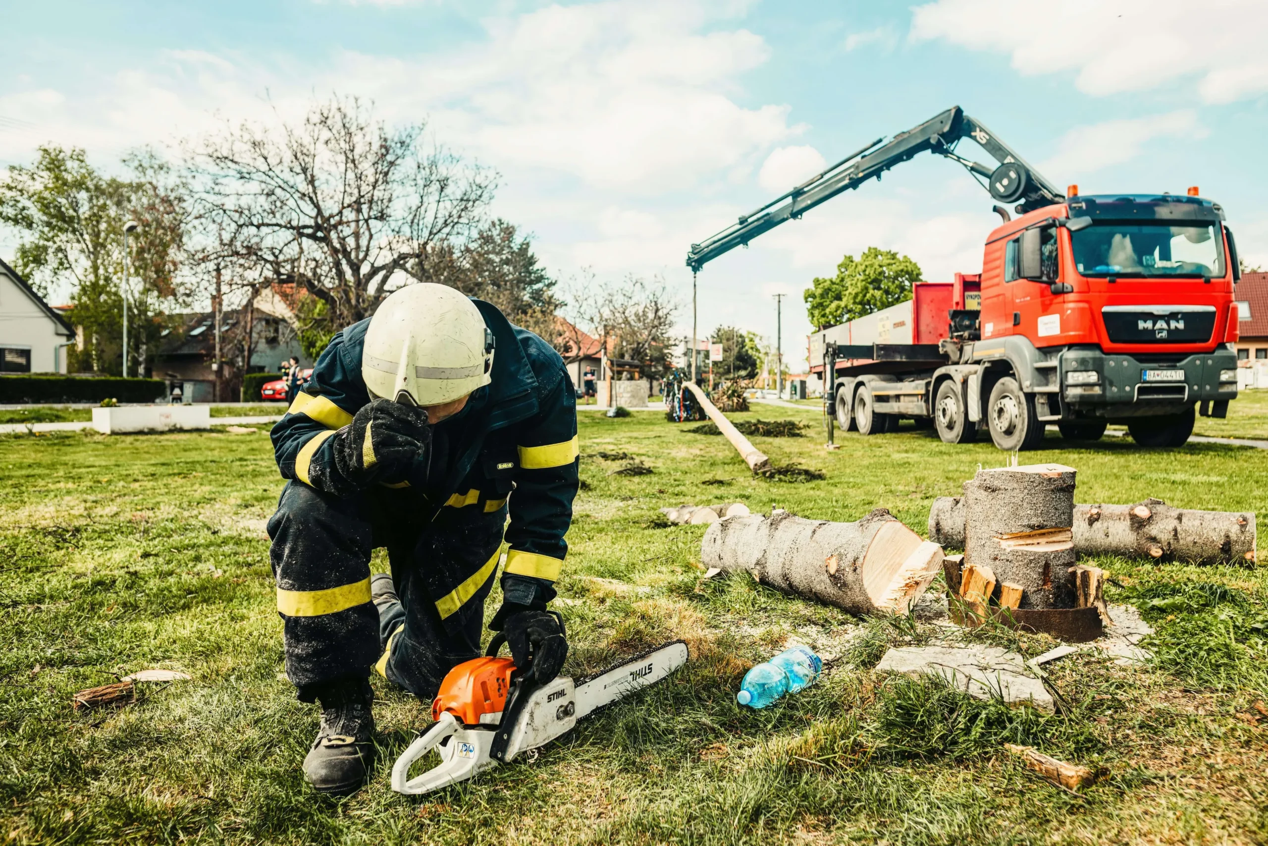 Landscaping and the planting of trees 1