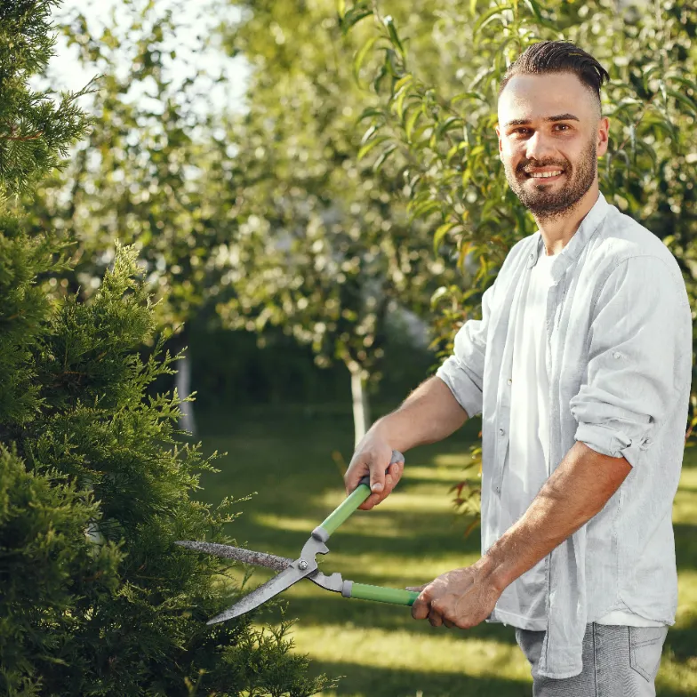 Management of Pests and Diseases