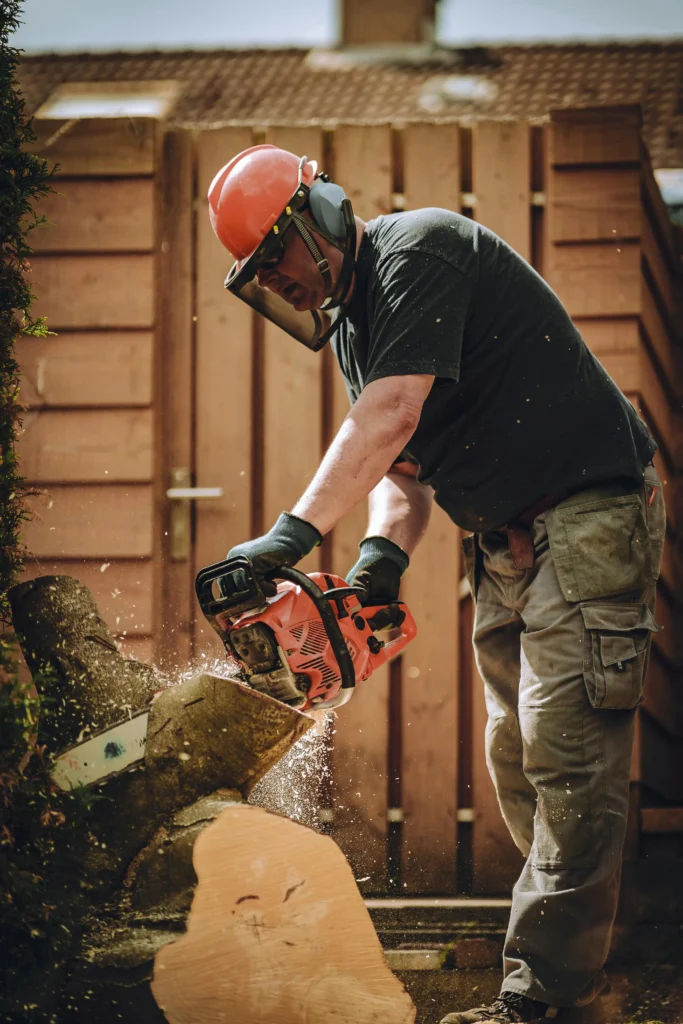 Regular-tree-pruning