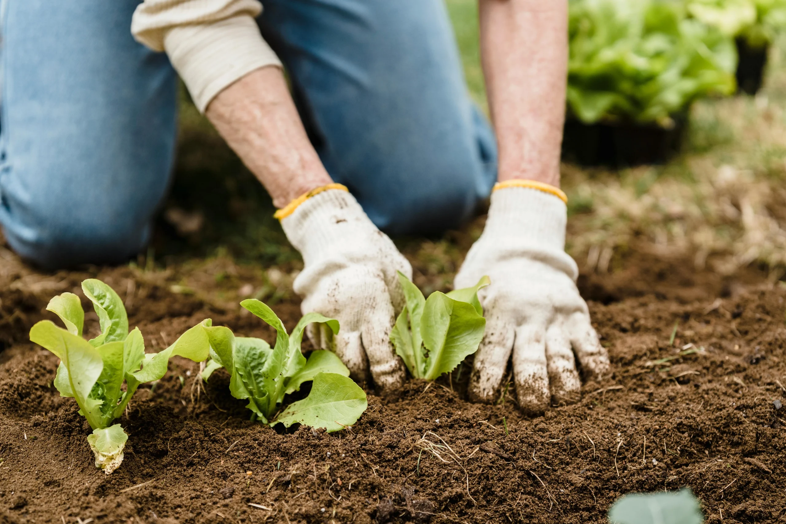 Soil Care and Nutrient Management