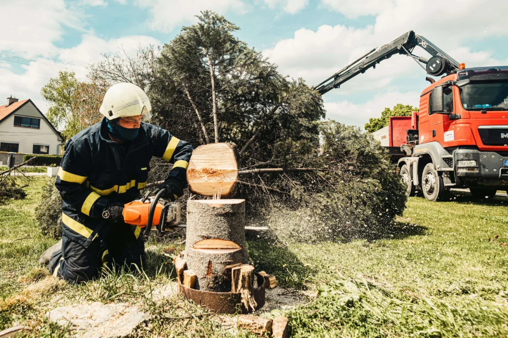 The Science Behind Tree Risk Assessment