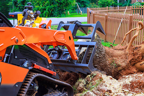 stump removal bell gardens