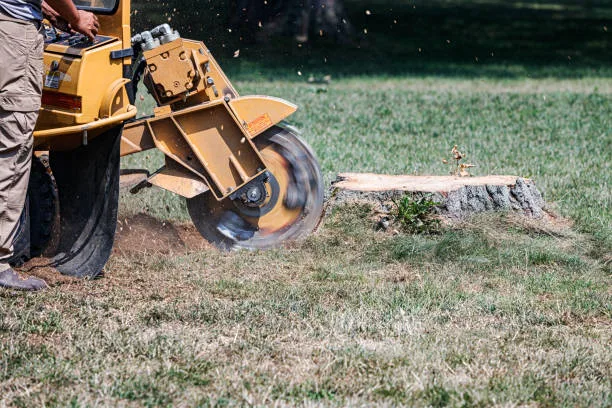 stump removal bell gardens