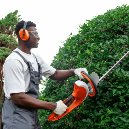 Bell Gardens tree service73-min